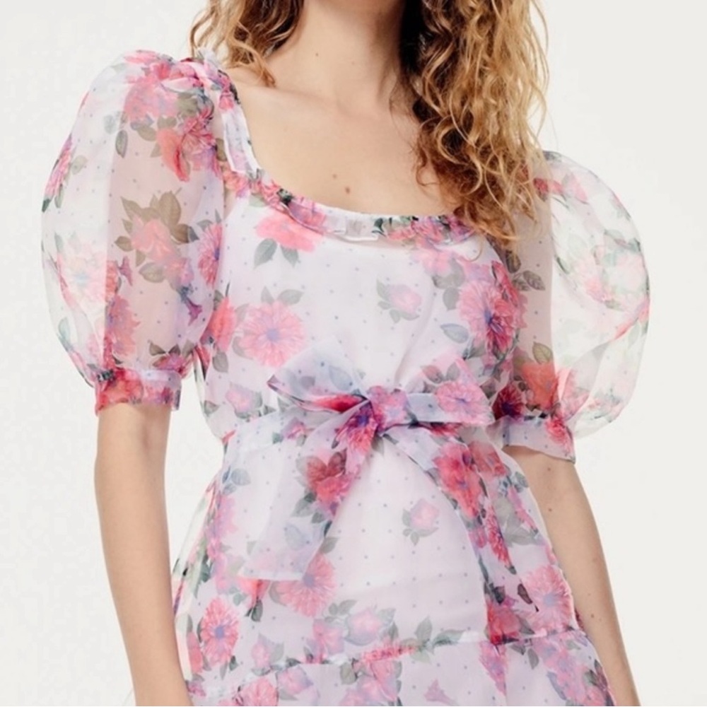 For Love and Lemons floral puff sleeve sheer dress with slip